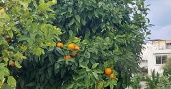 Seafront Penthouse In Turtle Bay Village, Esentepe, Kyrenia